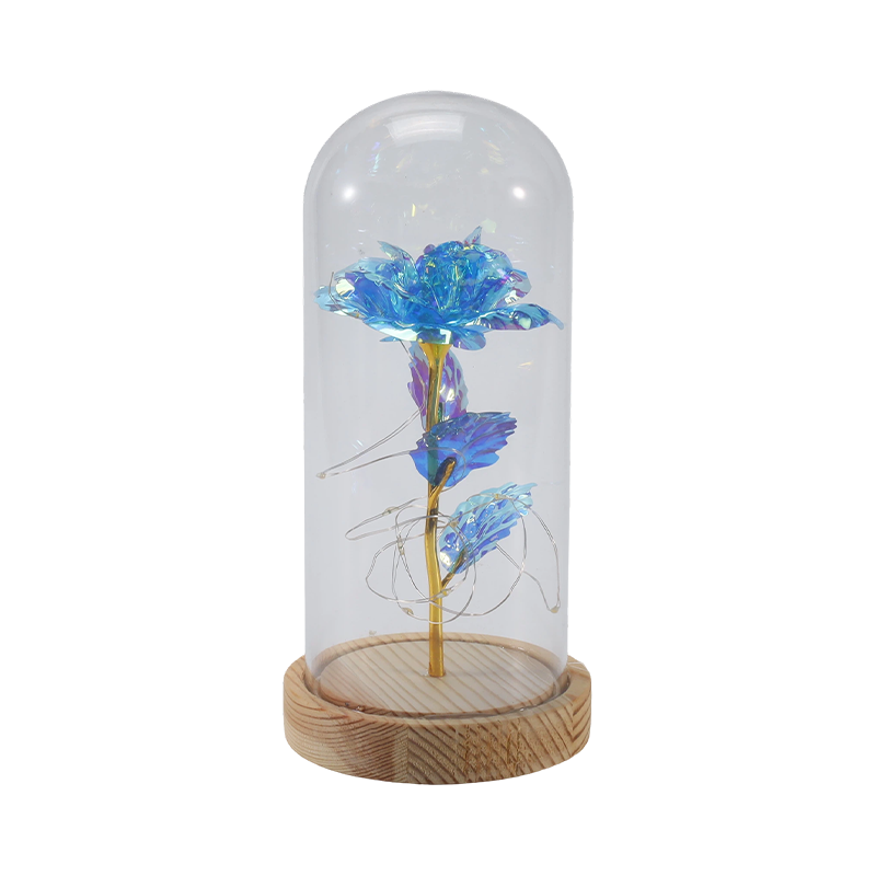 Galaxy Rose Glass Cloche Light (s/bez medvídka, více barev)