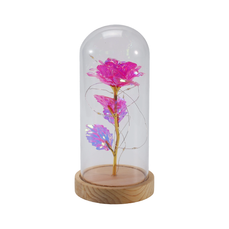 Galaxy Rose Glass Cloche Light (s/bez medvídka, více barev)